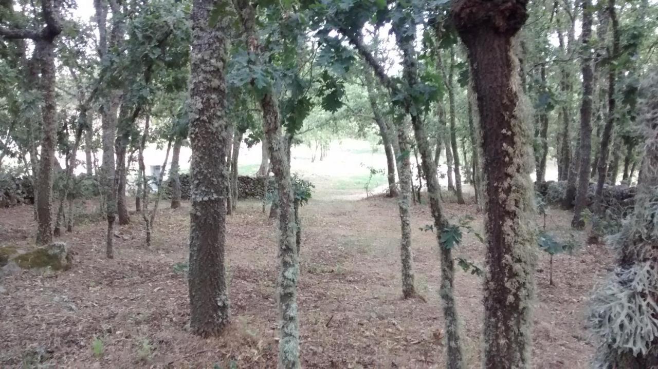 ホテル Las Casitas De Las Arribes Aldeadávila de la Ribera エクステリア 写真